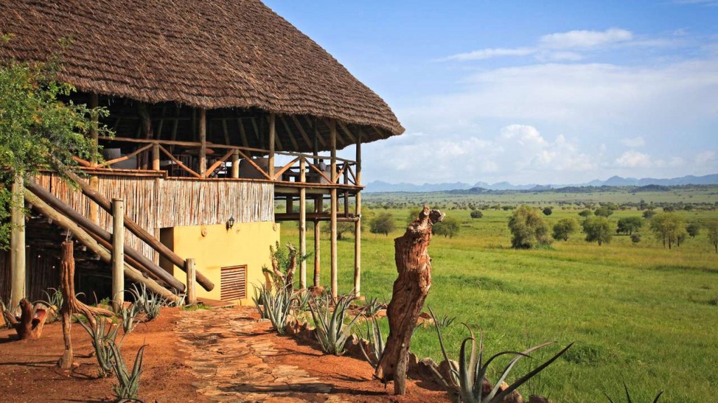 What to Wear for a Gorilla Trekking Safari in Uganda and Rwanda