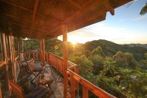 Gorilla Trekking Uganda Reviews, Thoughts and Prices