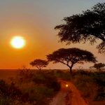 Uganda Adventure Safaris - Gorilla Safaris in Uganda sun-rise-on-a-ugandan-safari