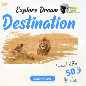 Explore Dream Destination