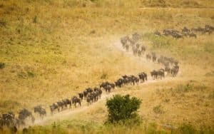 10 Best Travel Destinations in East Africa