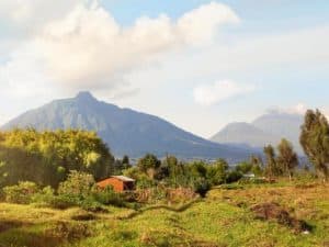 #9. Volcanoes National Park, Rwanda.