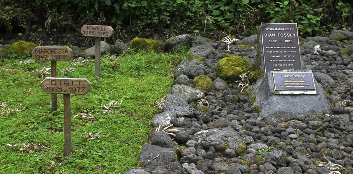 The Dian Fossey Graveyard Hike in Rwanda