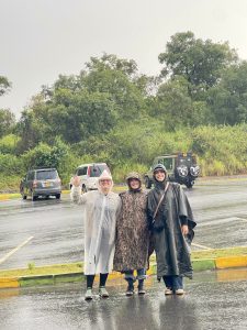 Why is Gorilla Trekking So Expensive?