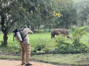 8 Day Primates Gorillas and Wildlife Uganda Vacation