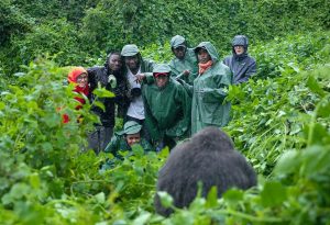 What are the best months to visit Rwanda for gorilla trekking?