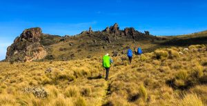 Brief Insight into Uganda's 10 National Parks.